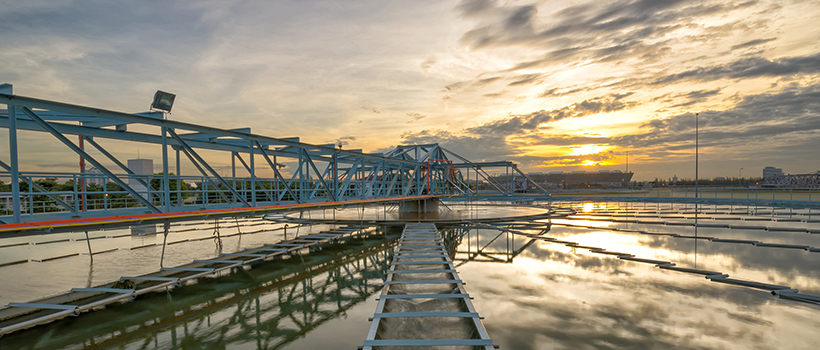 Water plant.